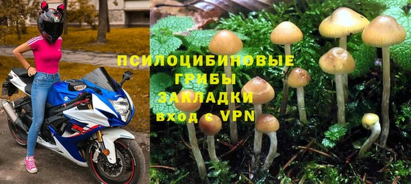 2c-b Медногорск