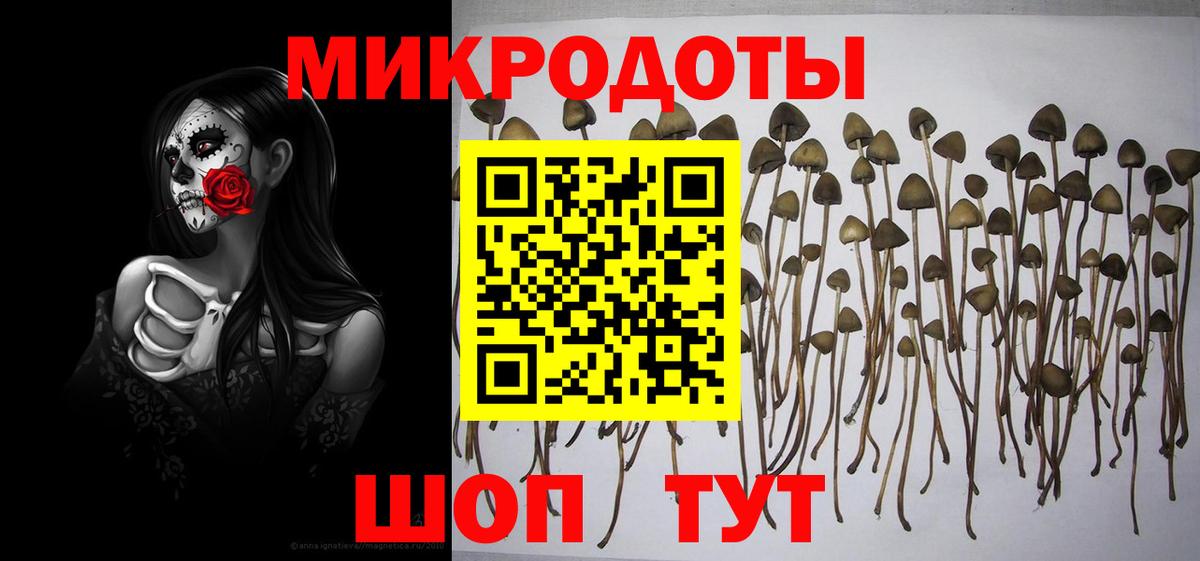 Галлюциногенные грибы мухоморы  Вход с VPN  Каменск-Шахтинский 